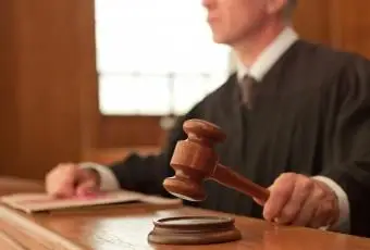 망치로 판단하다