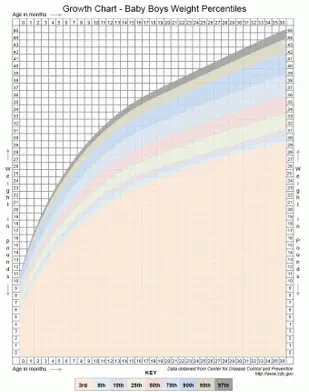 Graphique de croissance en percentile de poids des bébés garçons
