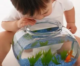 魚のボウルを探している赤ちゃん