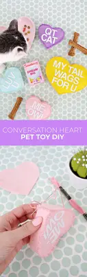 Conversation Heart Pet Toy DIY