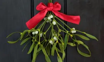 Mistelzweig mit roter Schleife