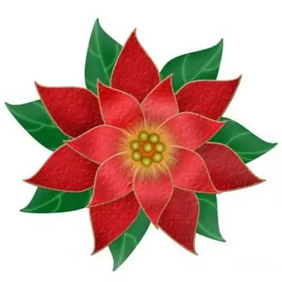 Clipart de poinsettia