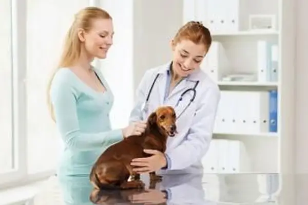 Cane che fa l'esame dopo il parto