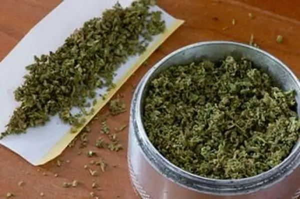 מטחנת מריחואנה