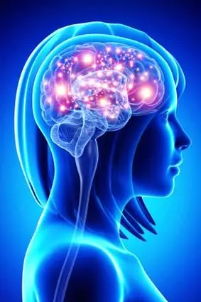 איור מוח פעיל