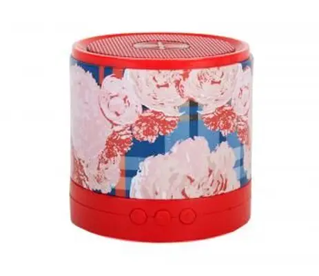 Ch!C Buds PortaParty