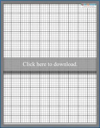 그래프 용지 템플릿