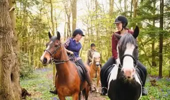 Jeźdźcy na koniach