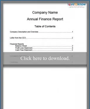 דוח כספי שנתי