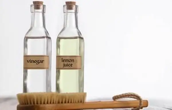 Essig und Zitronensaft mit Pinsel