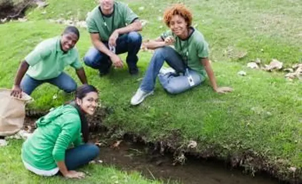 フィールド調査を行うティーンエイジャーのグループ