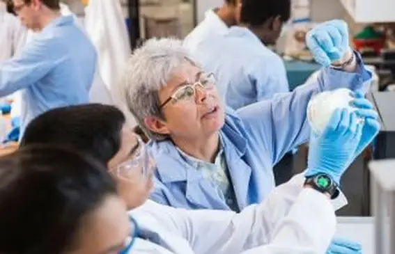 ラボで働く教師と生徒