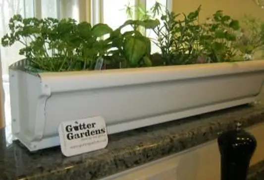 giardino della grondaia delle erbe