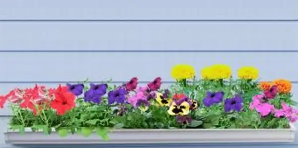 giardino di grondaie di fiori