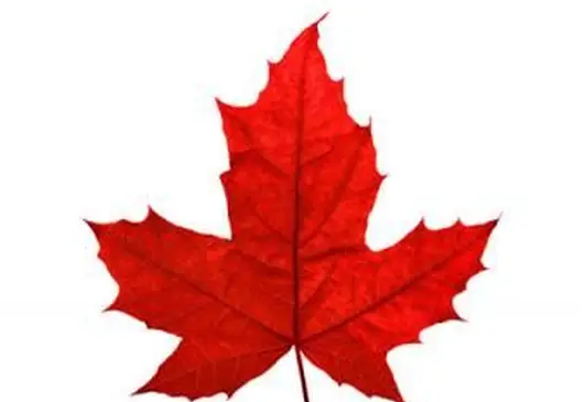 Red-Maple-Leaf.webp