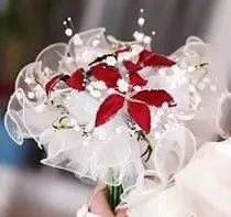 Novia llevando un ramo rojo y blanco