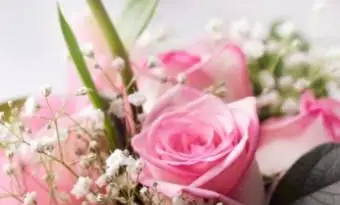 זר חתונה לקיץ עם ורדים ורודים