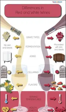 diagramma che confronta le differenze nei vini rossi e bianchi