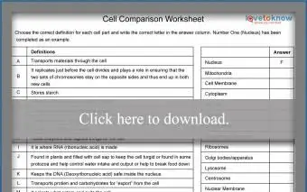 動物と植物の細胞比較ワークシート