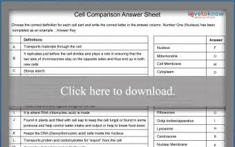 セル比較ワークシート回答キー