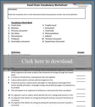 食物連鎖語彙ワークシート