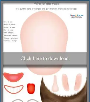 顔のスペイン語活動の一部