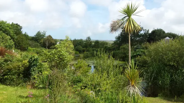 Tanglewood Wild Garden