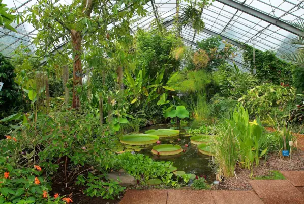 Dundee University Botanic Garden