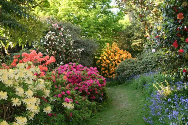 2-for-1 gardens - High Beeches Garden