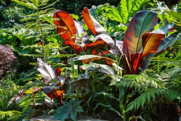 10 grădini tropicale și exotice de vizitat