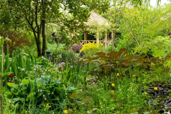 Barnsdale, Bog Garden