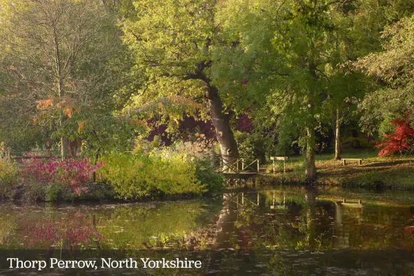 Dine 2-for-1 Gardens-bilder: juli 2021