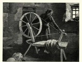 여자 회전 양모