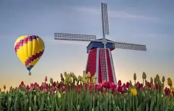 조디악의 공기 징후와 주요 특성