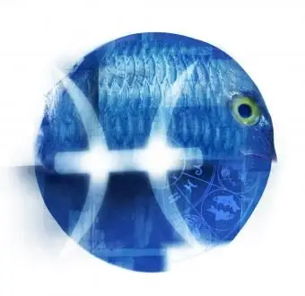 מזל דגים מזל דגים