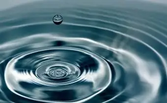 להבין את סימני המים של גלגל המזלות