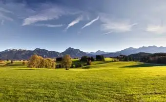 干支の地球の兆候：特性とニーズ