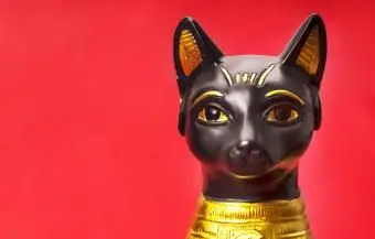 ביבלוט של החתול המצרי השחור