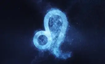 Ilustrácia symbolu leva