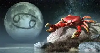 Symbol a významy rakoviny