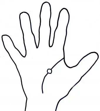 Linea della vita dell'isola