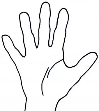 Linea della vita spezzata