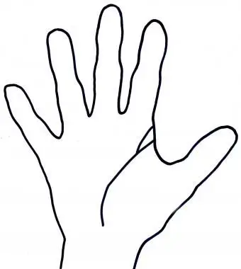 Linea della vita ramificata