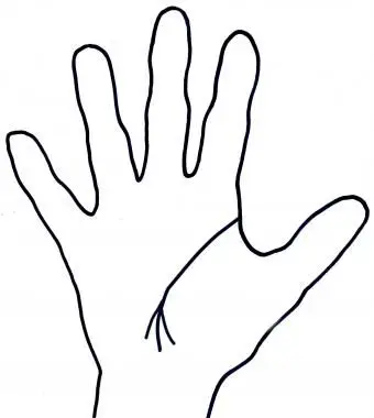 Linea della vita del Tridente