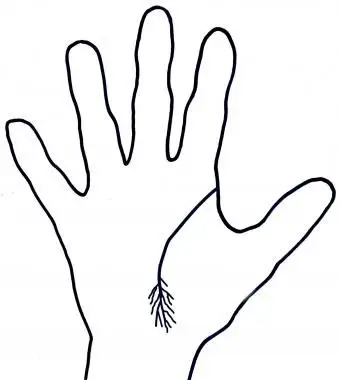 Nappine sulla linea della vita