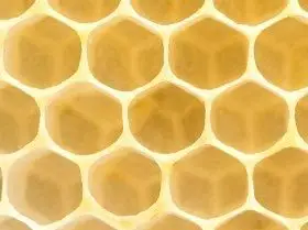 Beeswax2.webp