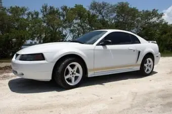 סוגי גוון חלונות אוטומטי