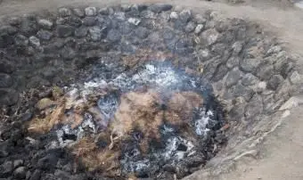 메즈 칼 준비를위한 아가베 파인애플 굽기