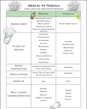 Mezcal vs. Tequila : 알아야 할 7 가지 차이점