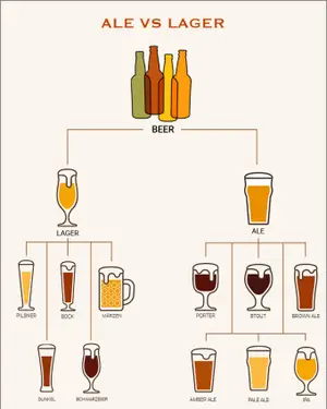 에일, 라거, 맥주의 차이점 : 맥주를 알아라